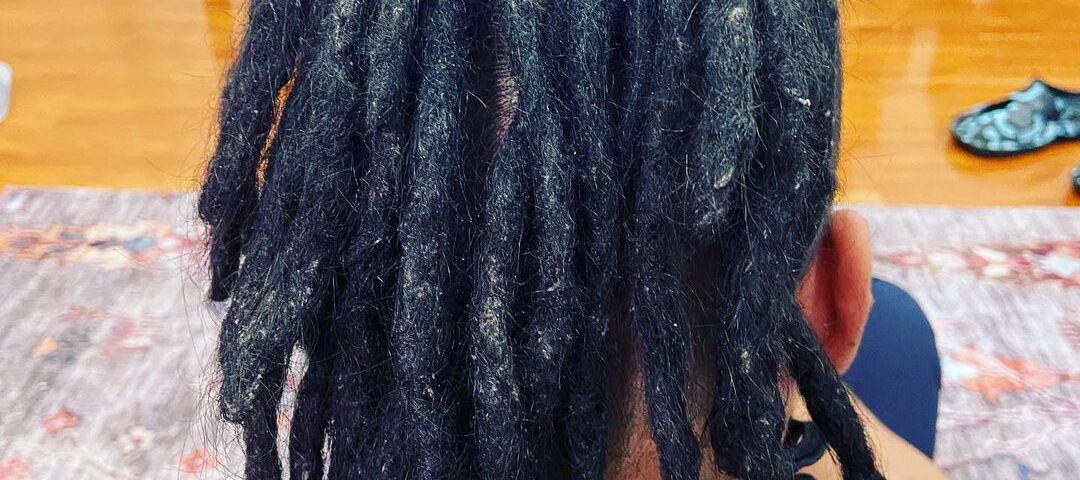 natural dreadlocks repair in sydney dreadlocks in sydney, best dreadlocks in sydney